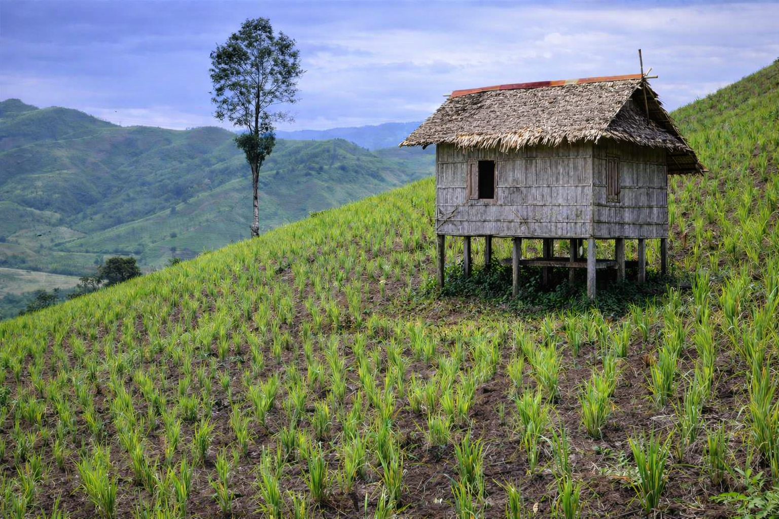 sulap